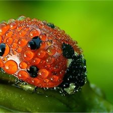 утренний душ