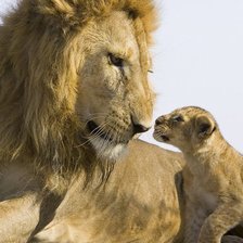 Схема вышивки «отпрыск»