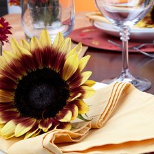 Схема вышивки «Подсолнух»