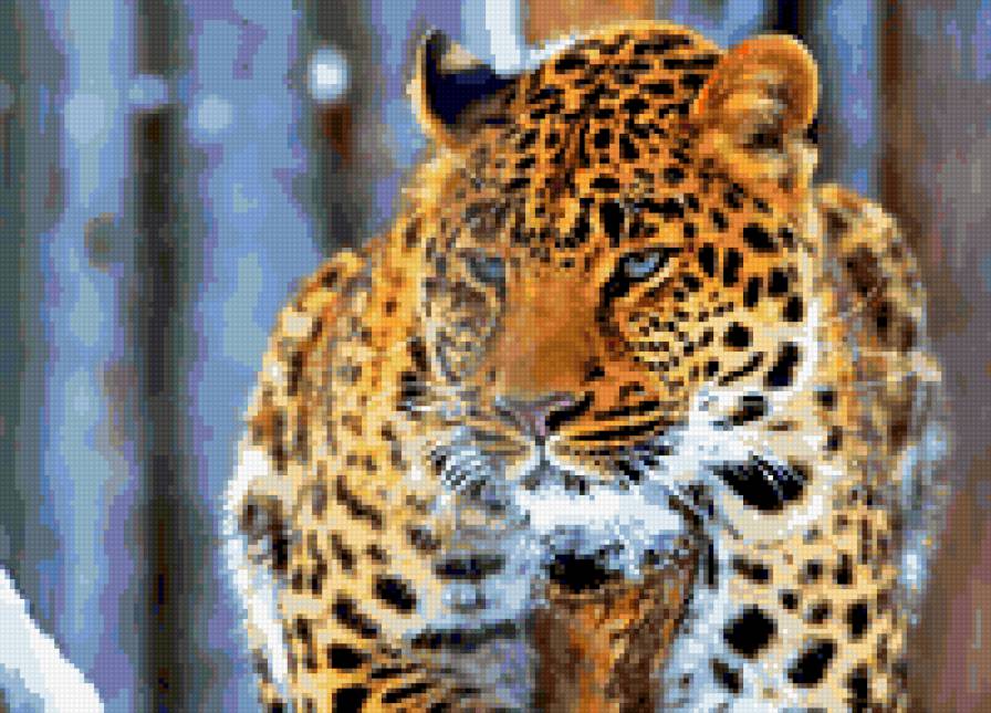 тигра - животные - предпросмотр