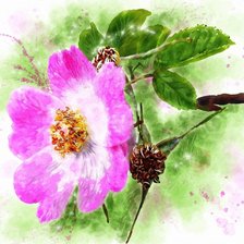 Схема вышивки «акварель»