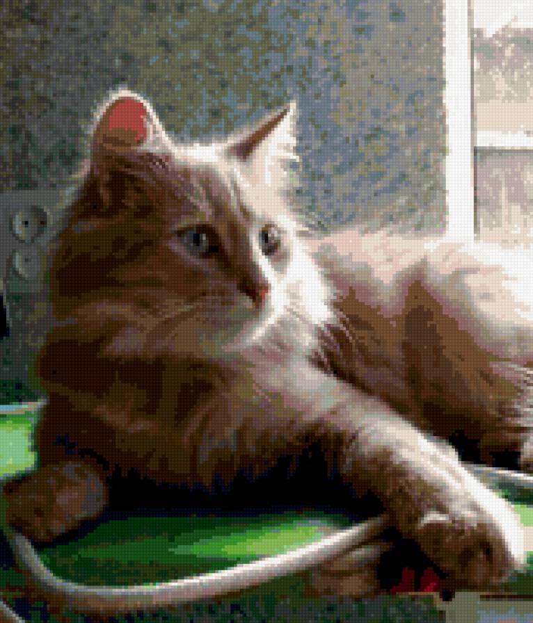 саймон - саймон - предпросмотр