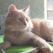 Схема вышивки «саймон»