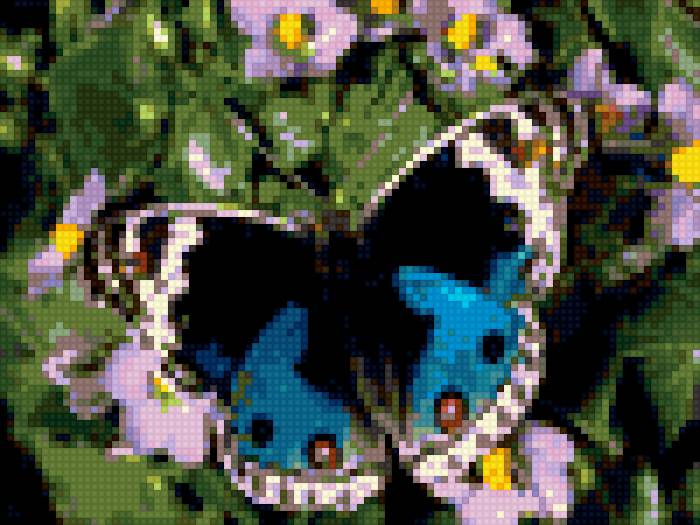 Бабочка - бабочка - предпросмотр