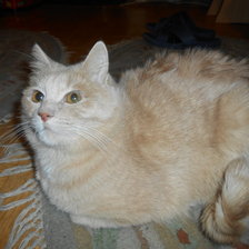 Схема вышивки «Антоша»