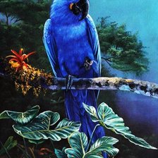 Схема вышивки «попугай»