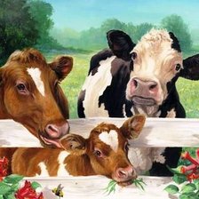 Схема вышивки «Коровки»