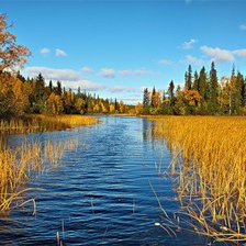 Схема вышивки «пейзаж»