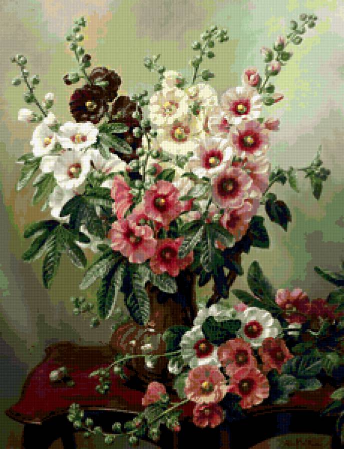 мальва - предпросмотр