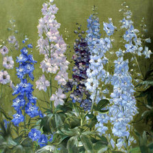 Схема вышивки «дельфиниум2»