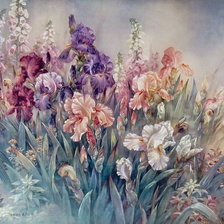 Схема вышивки «ирисы»