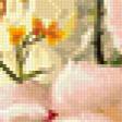 Предпросмотр схемы вышивки «букет1» (№272278)