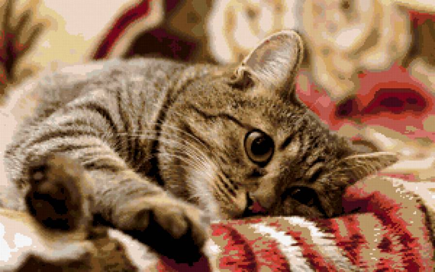 отдых - кошки - предпросмотр