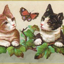 Схема вышивки «котята»