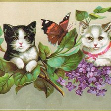 Схема вышивки «котята»