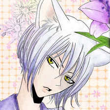 Схема вышивки «Томоэ»