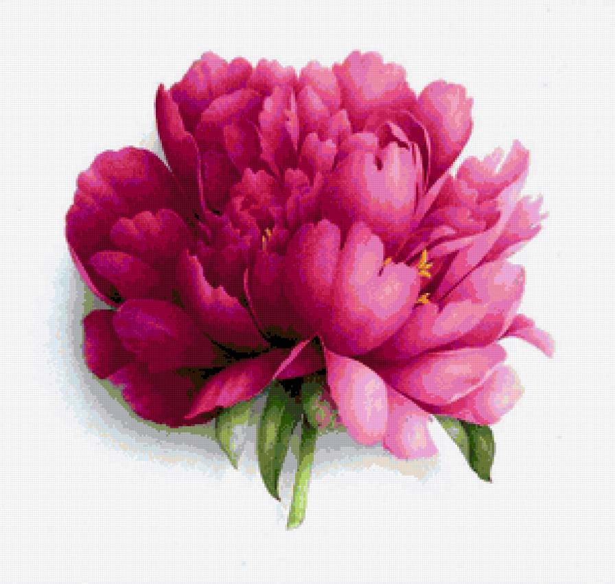 сюжет для подушки - предпросмотр