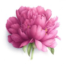 Схема вышивки «сюжет для подушки»