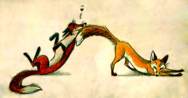 любовь - ласка, нежность, лис, хвост, любовь, лиса - оригинал