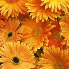 Схема вышивки «Цветы»