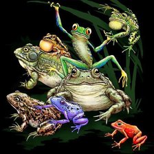 Схема вышивки «Царевны-лягушки»