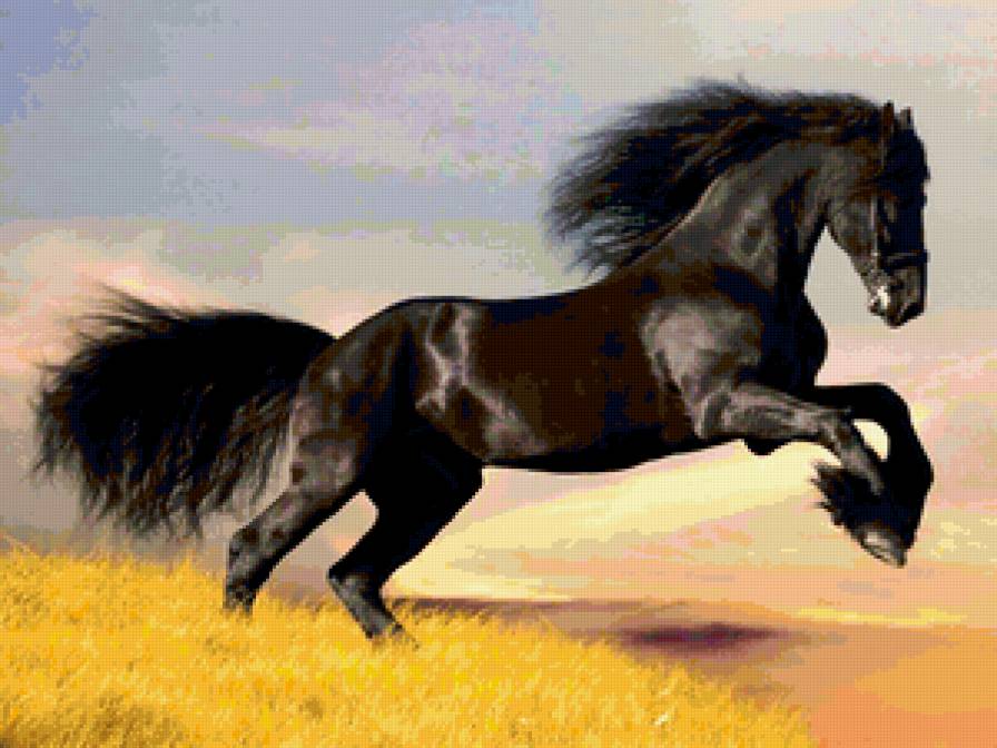 Фриз - лошадь - предпросмотр