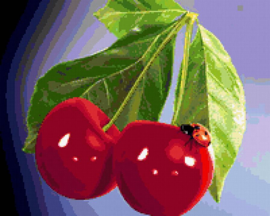 Вишни - ягоды, вишни, картина - предпросмотр