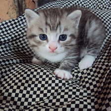 Схема вышивки «Кубик»