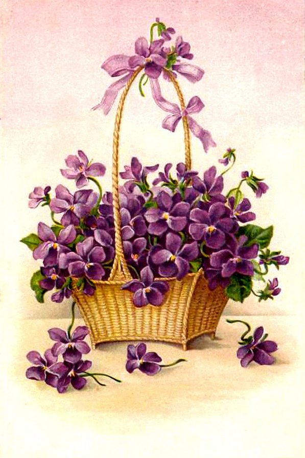 фиалки в корзине - оригинал