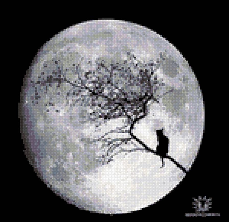 кошкин сон - луна, кошка - предпросмотр