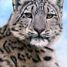 Схема вышивки «№273051»