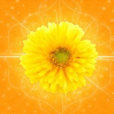 Схема вышивки «цветы»