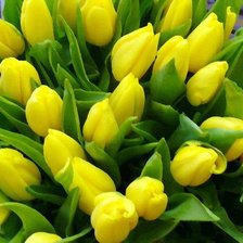 Схема вышивки «ЖЕЛТЫЕ ЦВЕТЫ»