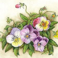 Схема вышивки «анютки»