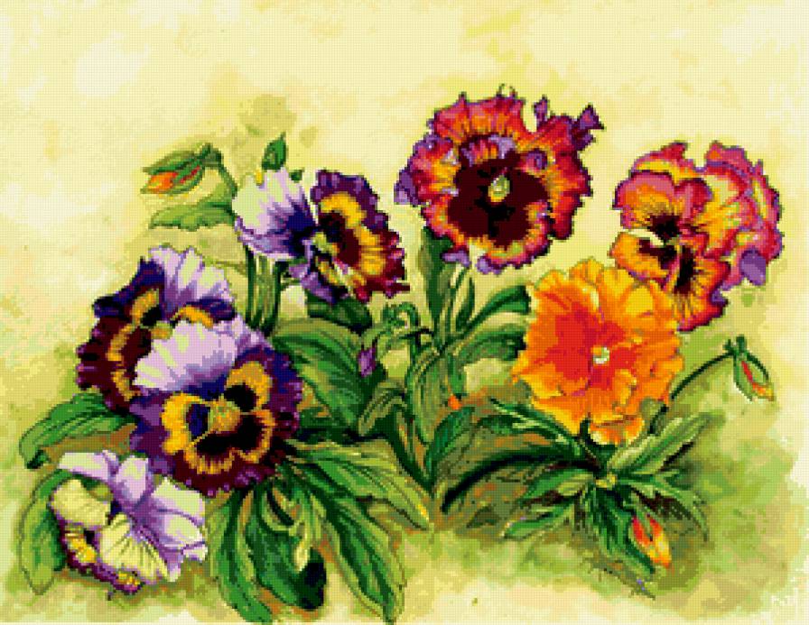 анютки - анютки, анютины глазки, цветы - предпросмотр