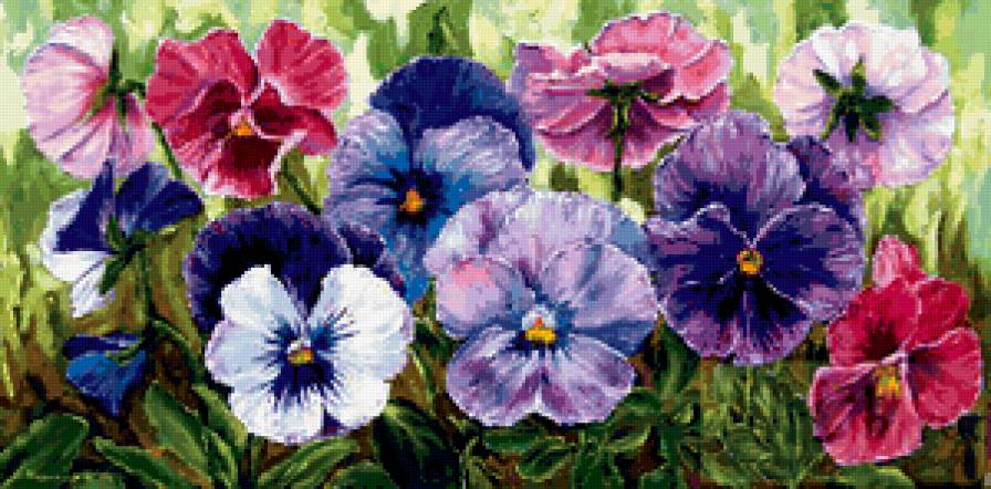 анютки - цветы, анютки, анютины глазки - предпросмотр