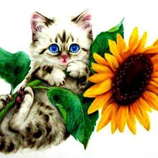 Схема вышивки «котик с подсолнухом»