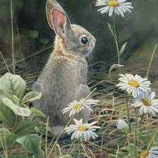 Схема вышивки «0057»