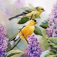 Схема вышивки «0058»