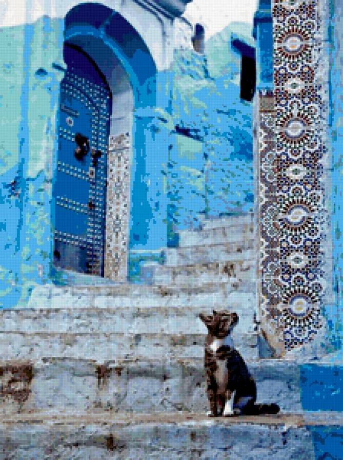 Восток - кошка, восток - предпросмотр