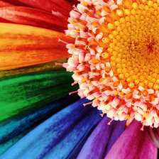 Схема вышивки «№273543»