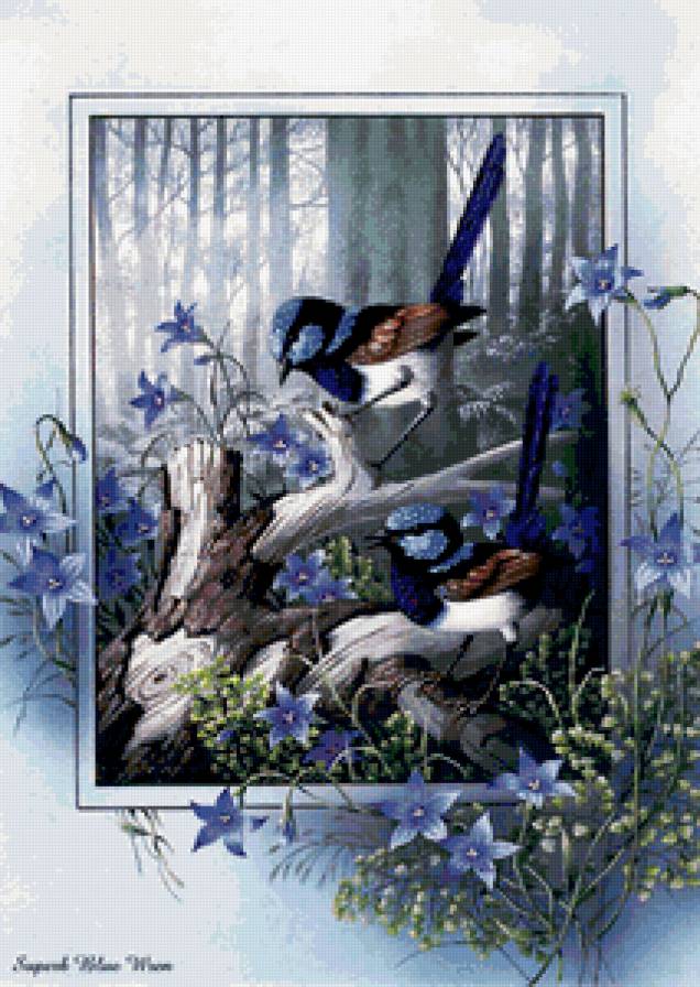 птички - птички, пейзаж, природа - предпросмотр