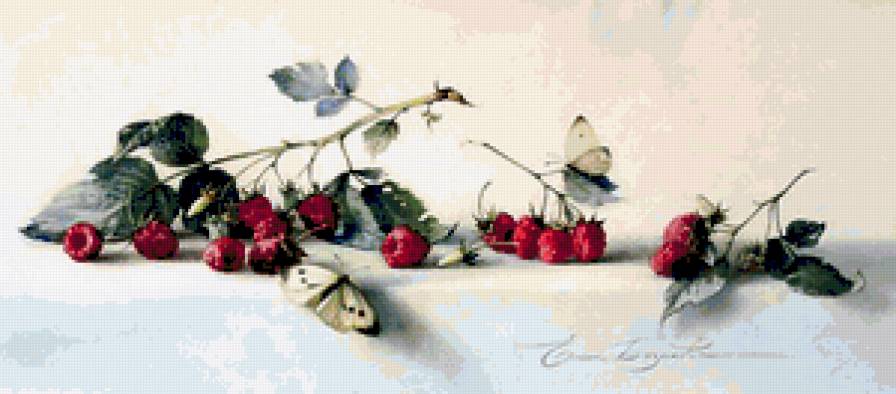 Малина и мотыльки - ягоды, натюрморт, мотыльки, бабочки, малина - предпросмотр