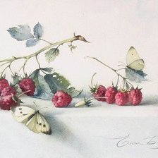 Малина и мотыльки