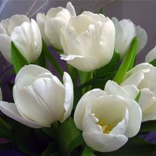 Схема вышивки «БЕЛЫЕ ТЮЛЬПАНЫ»