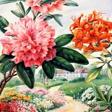 Схема вышивки «Пейзаж с цветами»