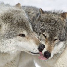 Схема вышивки «поцелуй»