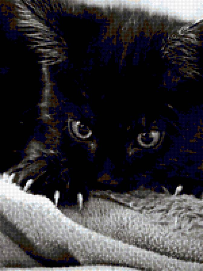 Кися_3 - котенок, тарелка, кошка, дети, глаза - предпросмотр