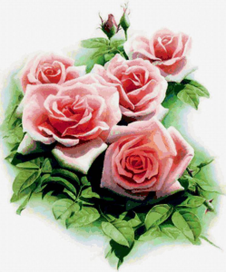 нежные розы - предпросмотр