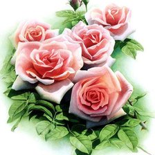 Схема вышивки «нежные розы»